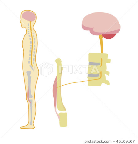 Exerciser 46109107