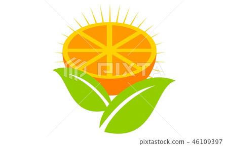 Orange Logo Design Template Vector 46109397