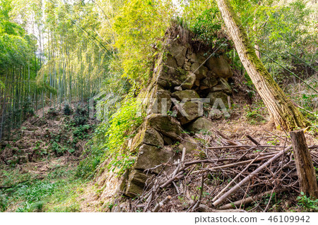 豐臣秀吉的石垣建築痕跡 46109942