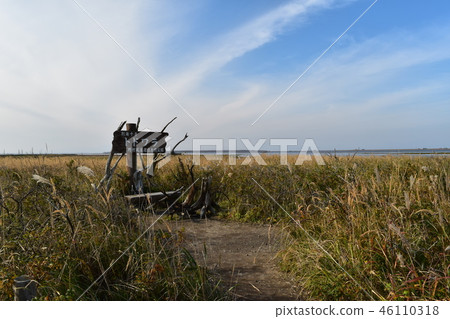 Notsuke peninsula Todwara district 46110318