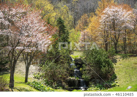 瀧野Suzuran山坡公園札幌市 46110485