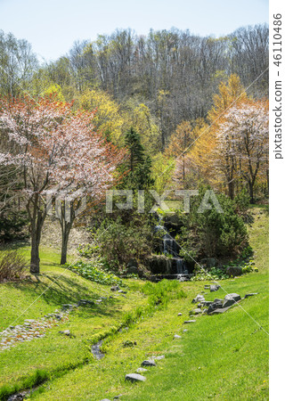 瀧野Suzuran山坡公園札幌市 瀧野Suzuran山坡公園札幌市 46110486
