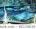 Fantastic God's Pond 46110616