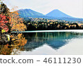 Autumn leaves onne 46111230