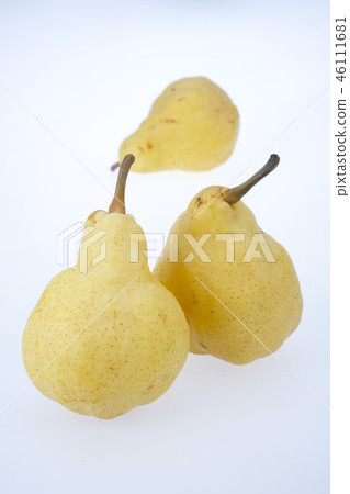 豪華梨le lecce 豪華梨le lecce 46111681