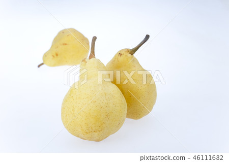 豪華梨le lecce 豪華梨le lecce 46111682