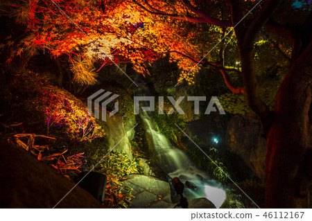 目白花園 46112167