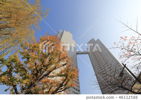 Autumn Holy Luka Garden 46112588