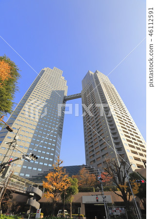 秋天聖盧卡花園 46112591