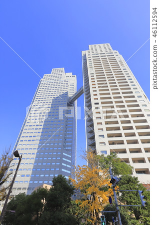 Autumn Holy Luka Garden 46112594