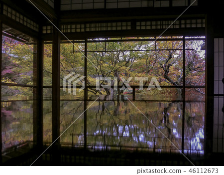 Rurikoin秋葉 Rurikoin秋葉 46112673