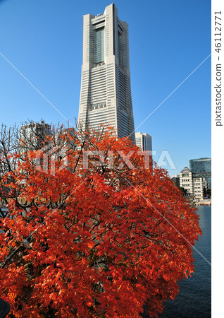 秋葉(Minato Mirai) 秋葉(Minato Mirai) 46112771