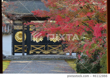 Karamon and autumn leaves at Daigoji Temple in Kyoto Karamon and autumn leaves at Daigoji Temple in Kyoto 46112866