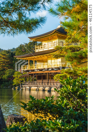 Kinkakuji Temple (The Golden Pavilion) Kinkakuji Temple (The Golden Pavilion) 46114575