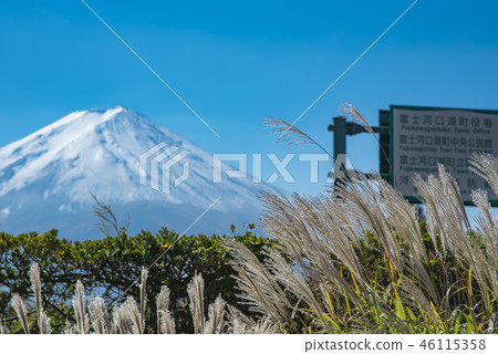 [Mt. Fuji] 46115358