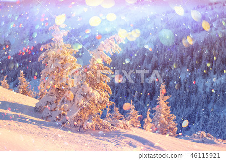 Dramatic wintry scene with snowy trees. Dramatic wintry scene with snowy trees. 46115921