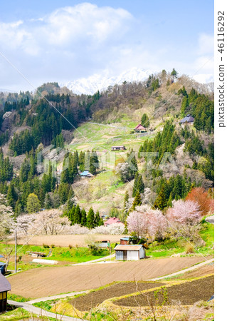 Spring Shinshu Ogawa Spring Shinshu Ogawa 46116292