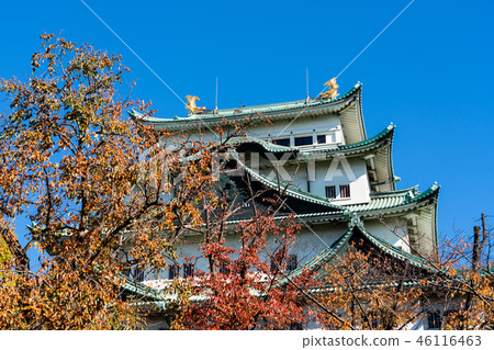 Nagoya Castle Nagoya Castle 46116463
