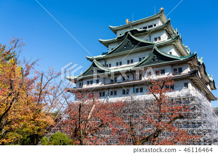 Nagoya Castle Nagoya Castle 46116464
