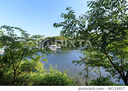 Koajiro no Mori Koajiro no Mori 46116957