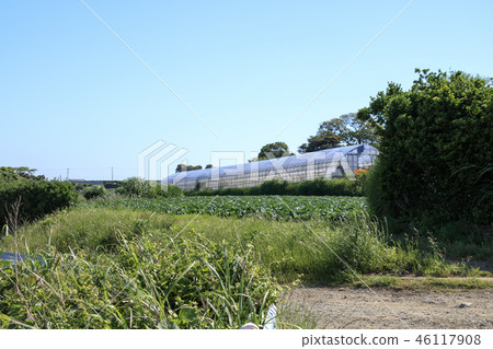 Field 46117908