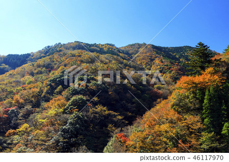 Autumn leaves of five villas 46117970