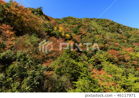 Autumn leaves of five villas 46117971