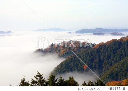 天堂城堡2138 天堂城堡2138 46118246