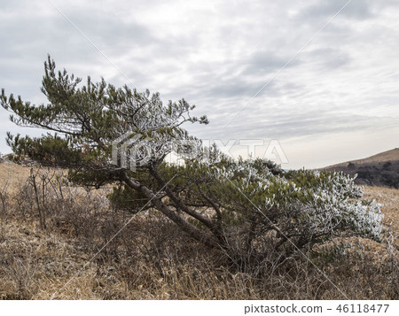 Sobaeksan雪風鐵丹陽縣。忠北 46118477