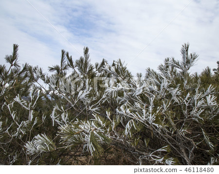 Sobaeksan snow wind iron Danyang county. Chungbuk Sobaeksan snow wind iron Danyang county. Chungbuk 46118480