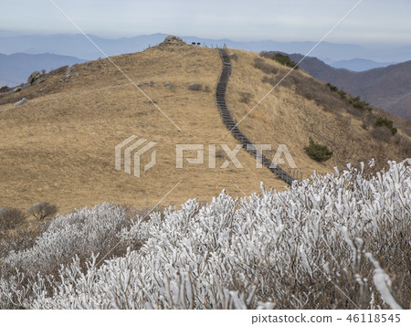 Sobaeksan雪風鐵丹陽縣。忠北 Sobaeksan雪風鐵丹陽縣。忠北 46118545
