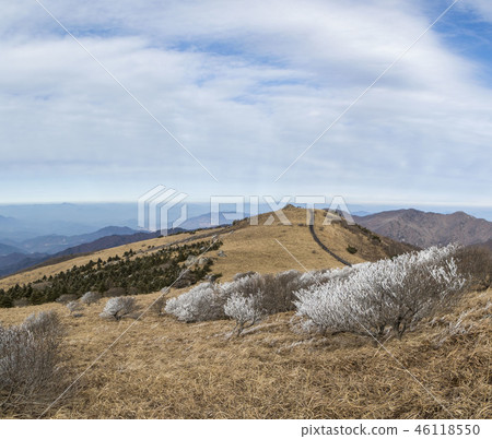 Sobaeksan snow wind iron Danyang county. Chungbuk Sobaeksan snow wind iron Danyang county. Chungbuk 46118550