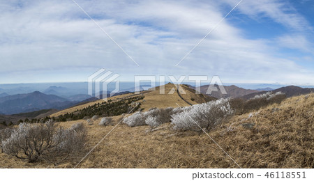 Sobaeksan snow wind iron Danyang county. Chungbuk 46118551