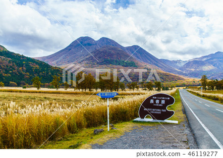 Grass leaves of Chojabaru [Kotosu-gun, Osu Prefecture, Oita Prefecture] 46119277