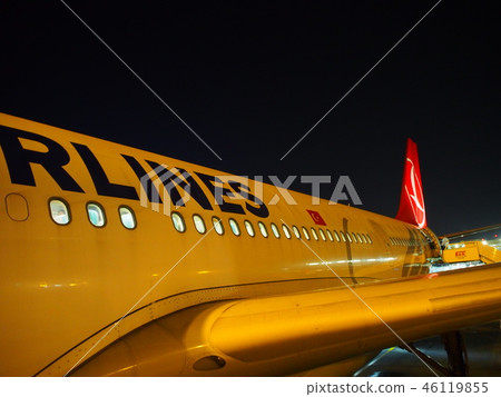 土耳其航空 土耳其航空 46119855
