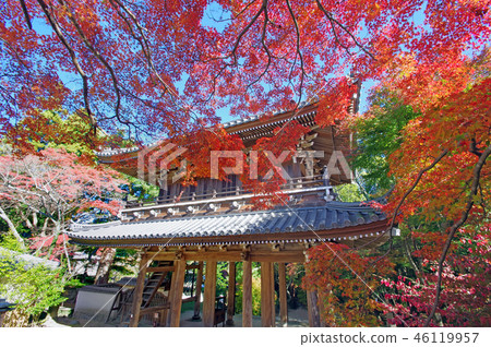宮寺 46119957