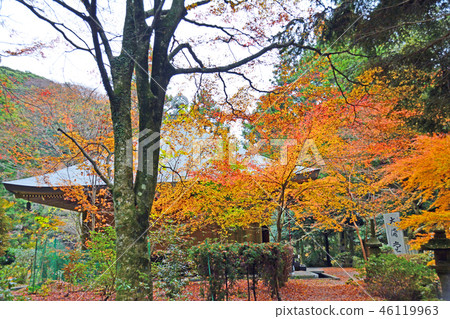 Rokoji Temple大廳 Rokoji Temple大廳 46119963