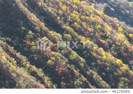 Autumn leaves of Oku-Nikko Autumn leaves of Oku-Nikko 46120089