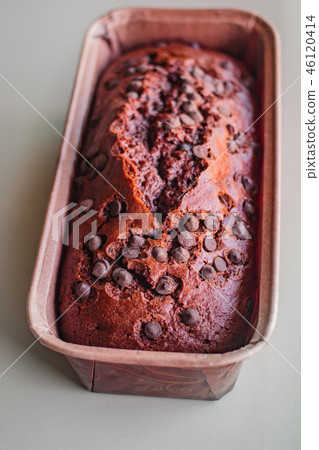 Chocolate chip cake. Chocolate chip cake. 46120414