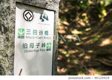 熊野古道“神戶”步道世界遺產“大竹岳-禦堂谷”(奈良縣吉野市) 熊野古道“神戶”步道世界遺產“大竹岳-禦堂谷”(奈良縣吉野市) 46120429