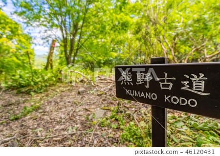 縱向跑道Kumano Kodo“ Kobeji” Kobeji的Auntakudake-Mitadani(奈良縣吉野市)*照片在評論部分中的位置 縱向跑道Kumano Kodo“ Kobeji” Kobeji的Auntakudake-Mitadani(奈良縣吉野市)*照片在評論部分中的位置 46120431