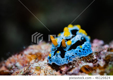 Sorae酒吧 46120824