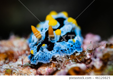 Sorae酒吧 46120825