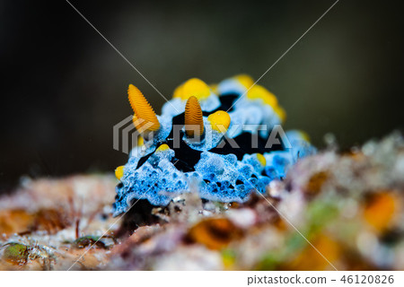 Sorae酒吧 46120826