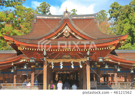 Taga Taisha Shrine 46121562