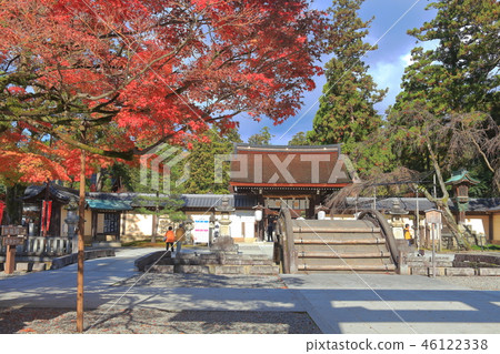 Taga Taisha的Dazai Bridge和Shinmon 46122338