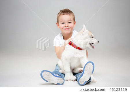 Portrait of a joyful little boy having fun with siberian husky puppy on the floor at studio Portrait of a joyful little boy having fun with siberian husky puppy on the floor at studio 46123539