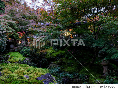 魯里科因 46123959