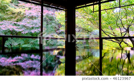 Shoko-in的辦公桌秋葉令人嘆為觀止的美麗 46123967