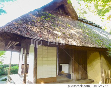 茅草屋頂的房子 46124756